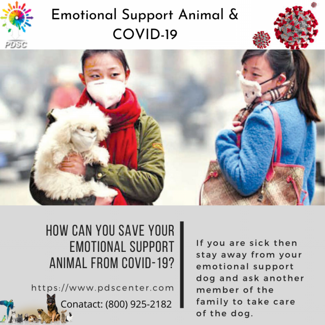 Emotional support animal letter sample Services Philadelphia